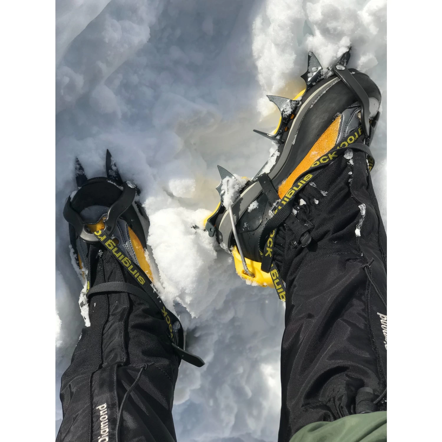 Black Diamond - Sabretooth Stainless Steel - Crampons 2 Black Diamond - Sabretooth Stainless Steel - Crampons - Image 2