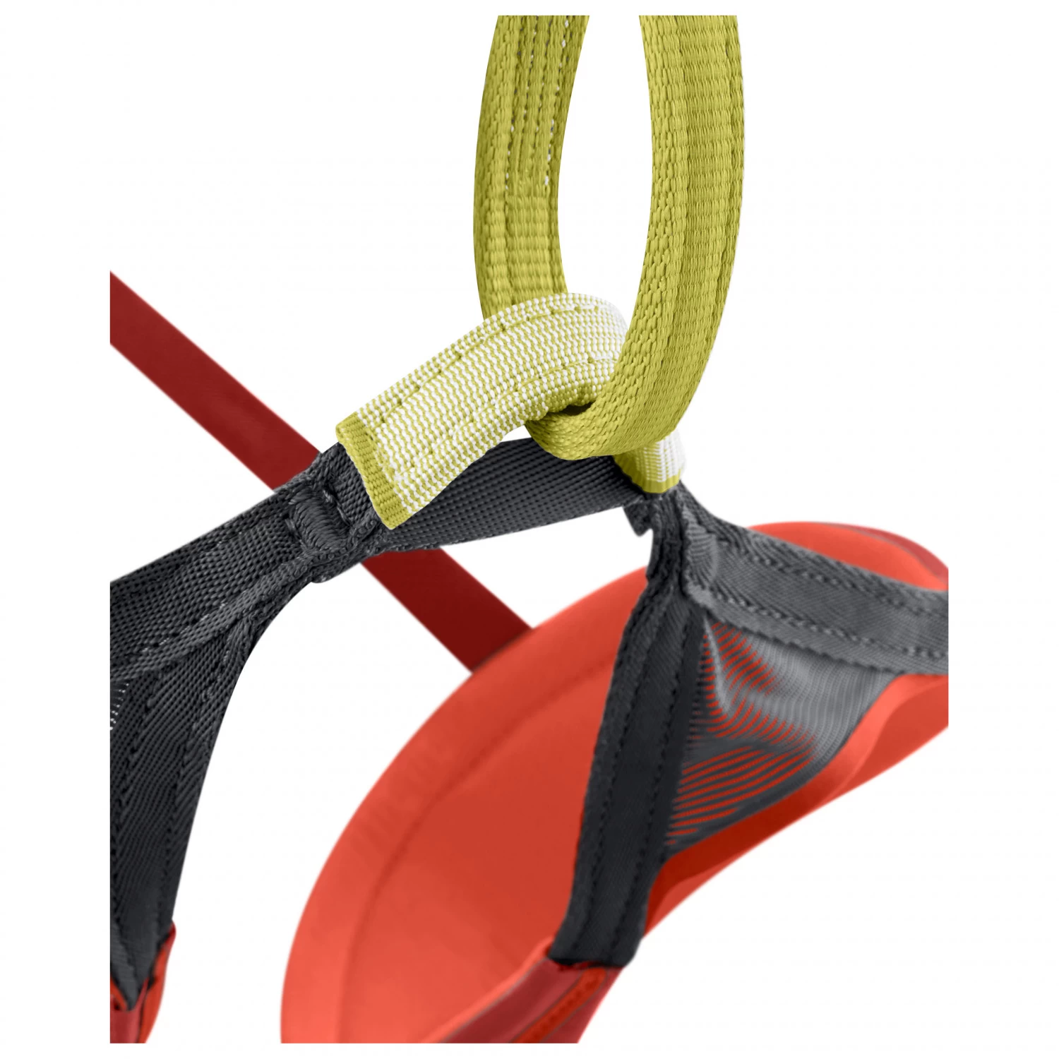 Edelrid - Sirana - Climbing Harness 4 Edelrid - Sirana - Climbing Harness - Image 4