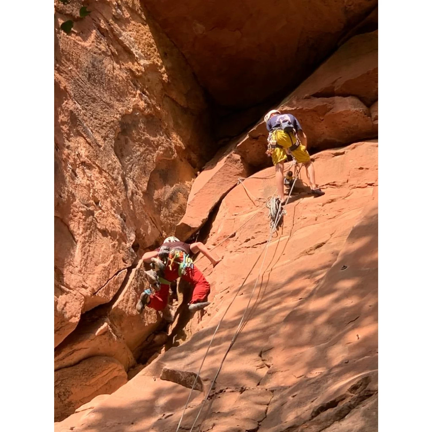 Petzl - Meteor Helmet - Climbing Helmet 5 Petzl - Meteor Helmet - Climbing Helmet - Image 5