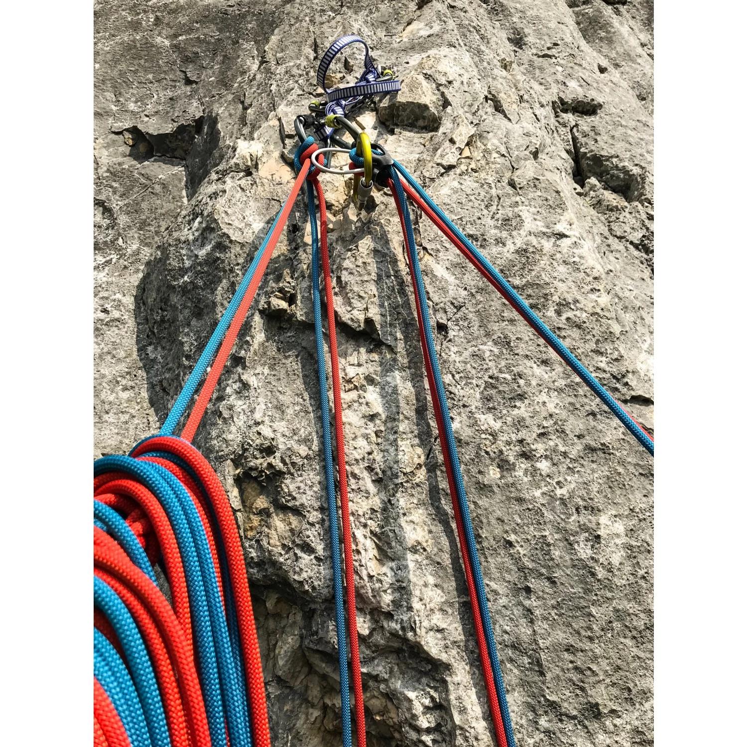 Petzl - Rumba 8,0 - Half Rope 2 Petzl - Rumba 8,0 - Half Rope - Image 2